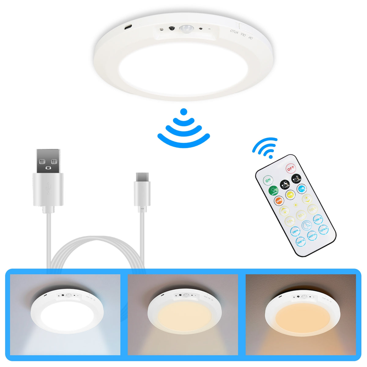 Motion-sensor ceiling light with remote